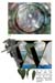 Diatoms